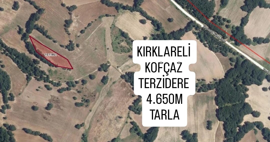 İlan Resmi